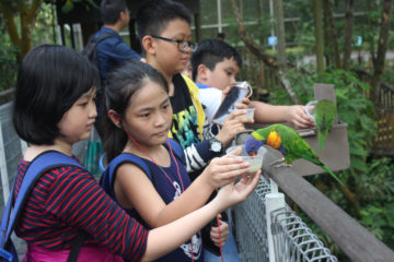[2017] Vui học tiếng Anh qua Ảo thuật, Singapore
